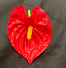 Load image into Gallery viewer, Real Touch Anthurium Ear Picks - Available in 7 Colors