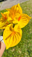 Load image into Gallery viewer, Real Touch Anthurium Ear Picks - Available in 7 Colors