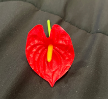 Load image into Gallery viewer, Real Touch Anthurium Ear Picks - Available in 7 Colors