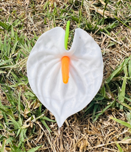 Load image into Gallery viewer, Real Touch Anthurium Ear Picks - Available in 7 Colors