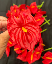 Load image into Gallery viewer, Real Touch Anthurium Ear Picks - Available in 7 Colors
