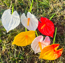 Load image into Gallery viewer, Real Touch Anthurium Ear Picks - Available in 7 Colors
