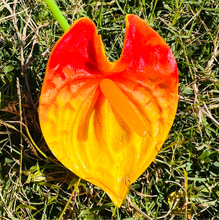 Load image into Gallery viewer, Real Touch Anthurium Ear Picks - Available in 7 Colors
